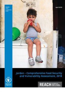 JOR_Report_WFP CFSVA_May 2019