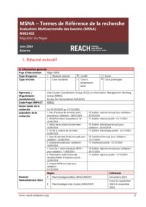 REACH NER MSNA 2024 - Termes de Reference - Juin 2024