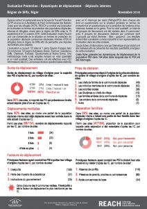 NER_Factsheet_Dynamiques de déplacement PDI_ Novembre 2018