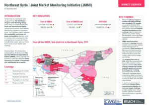 Northeast Syria Joint Market Monitoring Initiative (JMMI) December 2024
