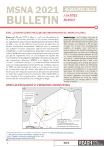 REACH_NER_Bulletin_MSNA_Agadez_Janvier2022