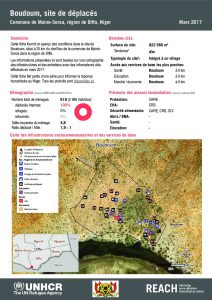 NER_HCR_Factsheet_Profil Site de Déplacés_Commune de Maine-Soroa_Boudoum_Mars 2017