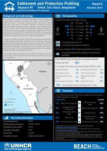 Settlement and Protection Profiling, Camp Nayapara - November 2019
