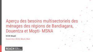 REACH Mali MSNA2024 - Aperçu des besoins multisectoriels des régions de Bandiagara, Douentza et Mopti