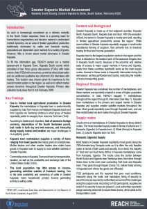 Greater Kapoeta Rapid Market Assessment – February 2020