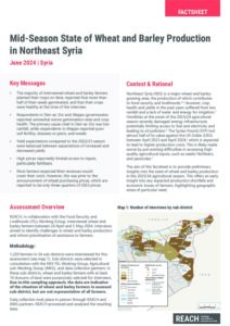 REACH Syria Mid-Season Crop Assessment in NES, July 2024