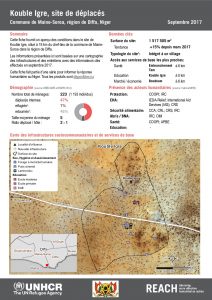 NER_Factsheet_Profil Site de Déplacés de Kouble Igre_Septembre 2017