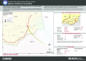 NER_Factsheet_Displacement Site Ngarana_Juin2016