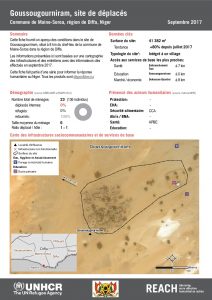 NER_Factsheet_Profil Site de Déplacés de Goussougourniram_Septembre 2017