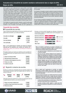 NER_Factsheet_Evaluation Cash Region Diffa_Juillet 2019