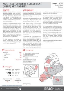 MSNA 2020 Sectoral Factsheet - Borno State, Nigeria