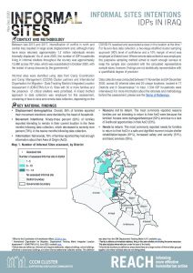 IRQ Factsheet Informal Sites Intentions Dec2020