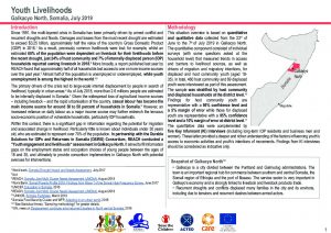 DSIRS Youth livelihoods assessment in Galkacyo North, Somalia - July 2019