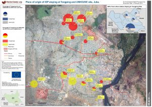 SSD - Place of origin of IDP staying at Tongping and UNHOUSE site, Juba