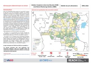 REACH RDC ICSM Factsheet Avril 2022