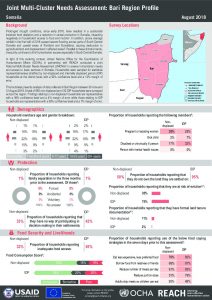 SOM_Factsheet_JMCNA_Bari Region_August 2018