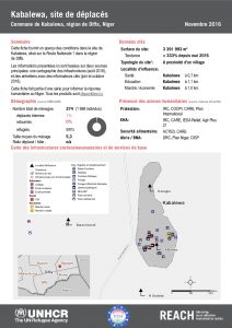 NER_Factsheet_Displacement Site Kabalewa_Novembre2016