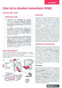 REACH Haïti HSM Round 1 Factsheet (Novembre 2025)