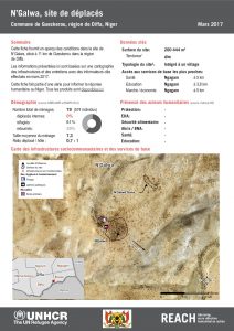 NER_HCR_Factsheet_Profil Site de Déplacés_Commune de Gueskerou_N'Galwa_Mars 2017.pdf