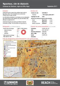 NER_Factsheet_Profil Site de Déplacés de Ngourtoua_Septembre 2017
