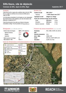 NER_Factsheet_Profil Site de Déplacés de Diffa Koura_Septembre 2017