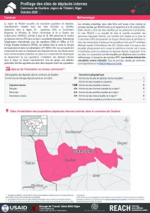 Profilage des sites de déplacés internes dans la commune de Ouallam, région de Tillabéri, Niger – Octobre 2020