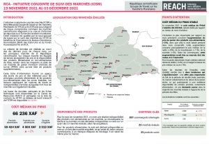 REACH RCA Fiche informative Suivi des marchés Novembre2021