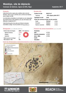NER_Factsheet_Profil Site de Déplacés de Mombiyo_Septembre 2017