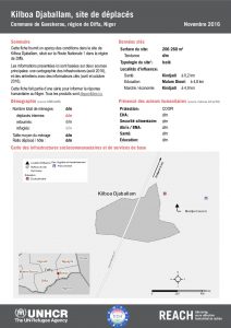 NER_Factsheet_Displacement Site Kilboa Djaballam_Novembre2016