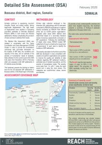 DSA III Factsheet Bossaso, Somalia - February 2020