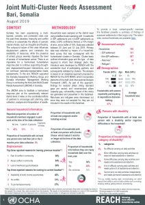 Somalia Joint Multi-Cluster Needs Assessment, Bari Regional FS, August 2019