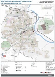 REACH SSD Wau Town markets map Oct 2024