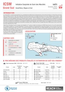 REACH HTI Factsheet JMMI Grand Sud October 2021 Cycle1 FR