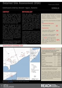 Detailed Site Assessment, Cabdlcasiis - February 2020