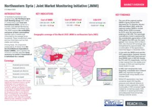 REACH Syria - Northeastern JMMI - March 2025 - Situation Overview