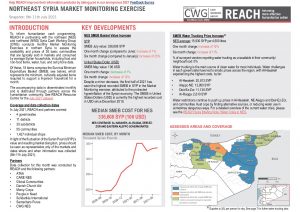 REACH SYR Northeast Situation Overview Market Monitoring July 2021