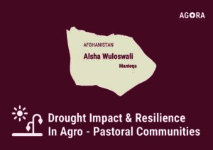 AGORA Drought Impact and Resilience in Agro-Pastoral Communities in Northwest Afghanistan Alsha Wuloswali  Manteqa Profile (June 2024 – April 2025)