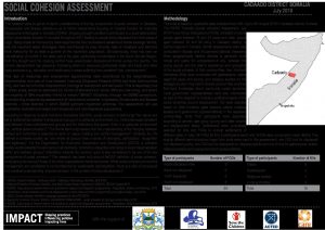 Social cohesion assessment situation overview, Cadaado district, Somalia – July 2019