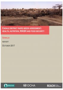 SOM_Report_Cadale Rapid Needs Assessment_October 2017