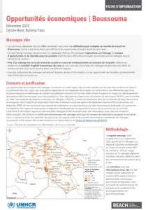 REACH BFA - Boussouma | Opportunités économiques fiche d'information