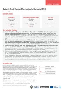 REACH Sudan, JMMI, Factsheet, 06-16 November 2025