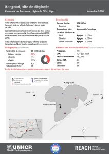 NER_Factsheet_Displacement Site Kangouri_Novembre2016