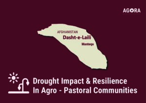 AGORA, Drought Impact and Resilience in Agro-Pastoral Communities in Northwest Afghanistan Dasht-e-Laili  Manteqa Profile (June 2024 – April 2025)