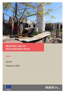 LBY_Report_Multi Sector Needs Assessment Update_February 2016