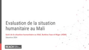 REACH HSM Sahel Mali Décembre 2024