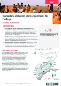 REACH Somalia HSM Key Finding Brief_ December 2024