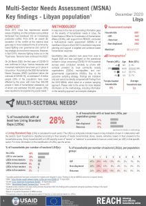 Libya 2020 MSNA Factsheets (Libyan population)
