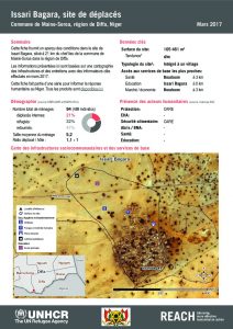 NER_HCR_Factsheet_Profil Site de Déplacés_Commune de Maine-Soroa_Issari Bagara_Mars 2017