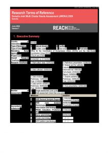REACH Somalia 2020 JMCNA ToR (July 2020)