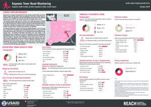 SSD_Factsheet_Kapoeta Town Road Monitoring_January 2018
